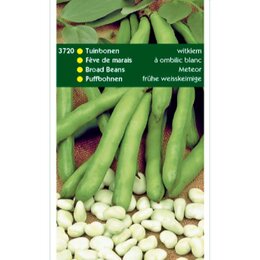 Tuinboon Witkiem 250 gram